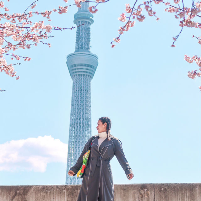 จุดถ่ายรูป Sakura + Tokyo Sky Tree 🌸🗼