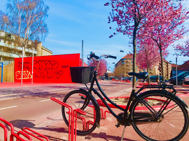 Embracing the world on two wheels 🇩🇰🚲