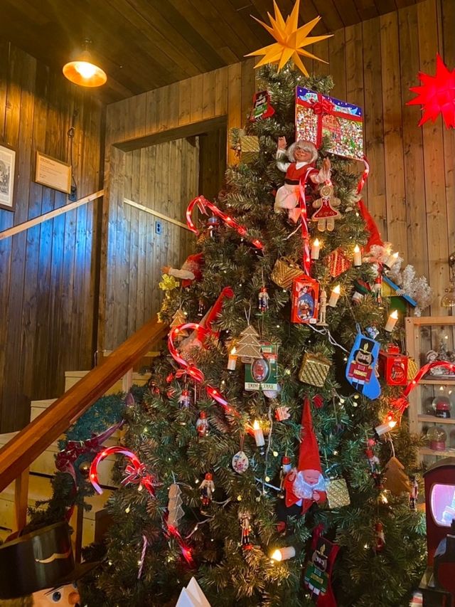 🎄제주 크리스마스 박물관