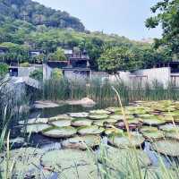 Experienced instagramable hotel in The Naka Phuket 