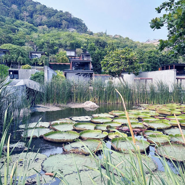 Experienced instagramable hotel in The Naka Phuket 