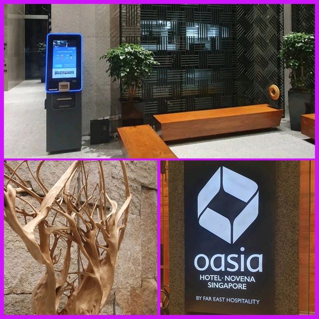 新加坡⭐⭐⭐⭐星酒店《Oasia Hotel Novena》- 位置方便，卓越服務。適合新加坡旅遊