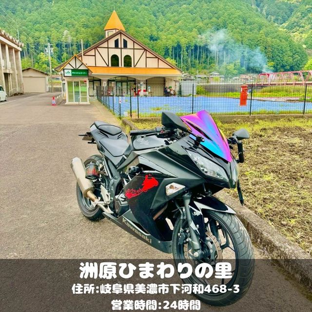 洲原ひまわりの里