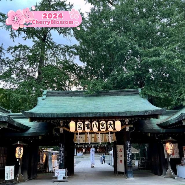 🌼 So relaxed at Omiya Hachimangu shrine