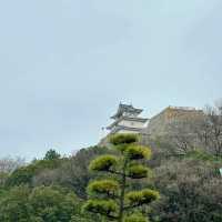 「駿府城公園：日本歷史與自然之美」