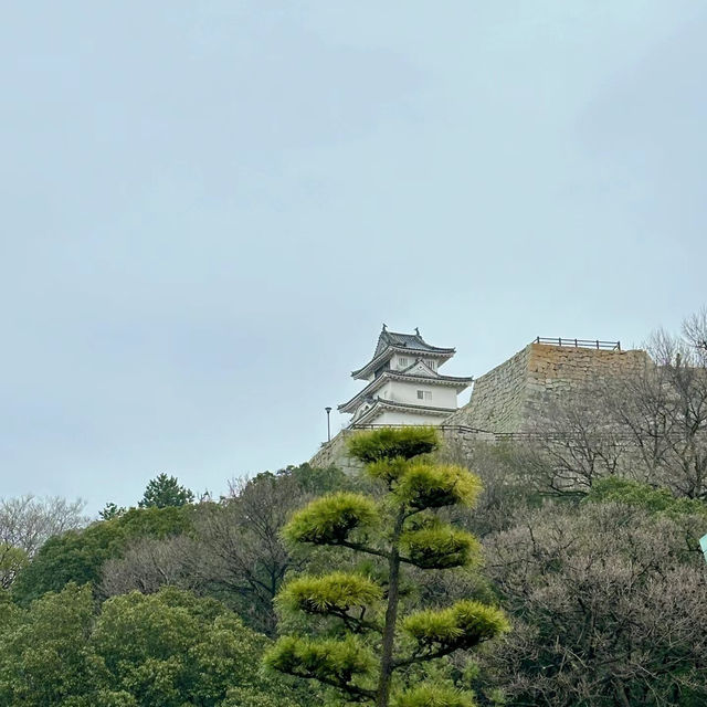 「駿府城公園：日本歷史與自然之美」