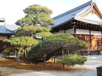Golden Pavilion of Kyoto 🇯🇵