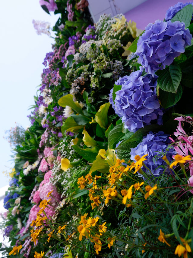 春暖花開，深圳花展攻略