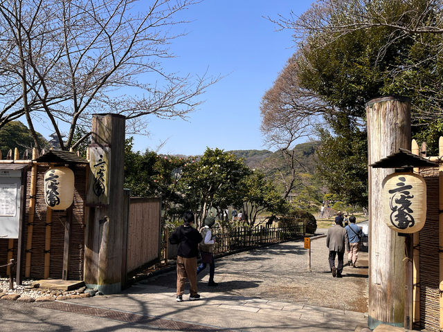 三渓園@横浜🌲