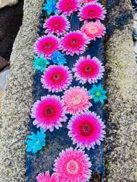 【紫陽花に変化‼️花手水で有名の法輪寺】