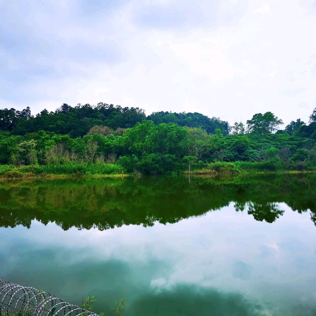 環西麗湖綠道 環西麗湖綠道