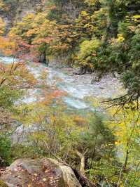 🚂 Kurobe Gorge ทางรถไฟสุดโรแมนติกในญี่ปุ่น