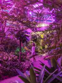 Bucheon Lake Botanic Park สวนพฤกศาสตร์ฟีลอวกาศ