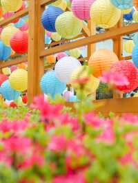 【大宮】ランタンの回廊がかわいい🏮青葉園