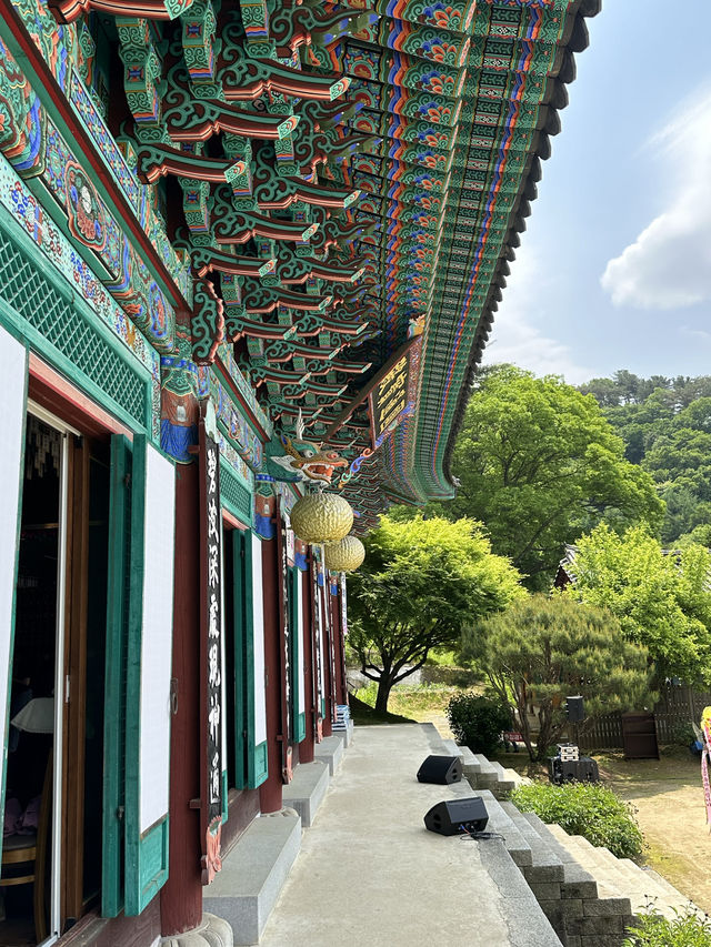 여름을 담은 자연을 마음껏 느껴보실 수 있는 😎강원도 홍천 아름다운 사찰여행