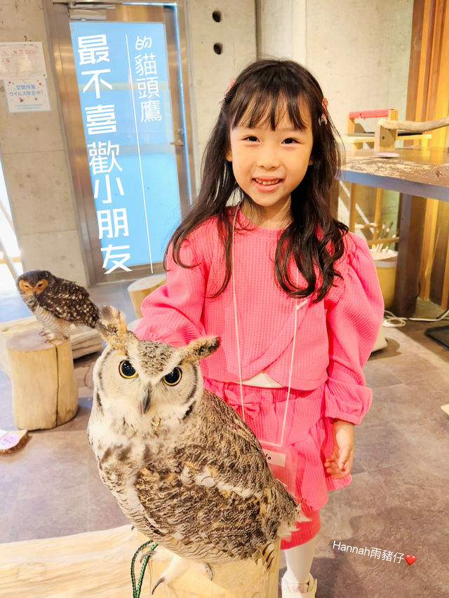 大阪親子活動