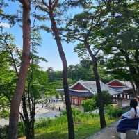 조선왕실의 별궁 창경궁 + 고궁&숲&연못 산책🖼