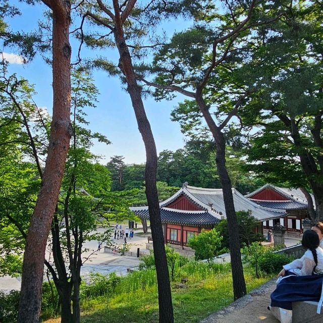 조선왕실의 별궁 창경궁 + 고궁&숲&연못 산책🖼