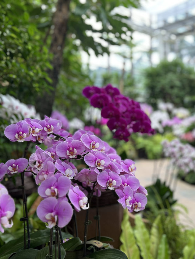 【沖縄 本部】雨の日でも楽しめるオススメSPOT🌸