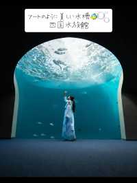SNSで人気のあの水槽🐠🫧『四国水族館』