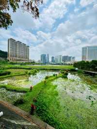 Wetland in Avenida da Praia, Taipa