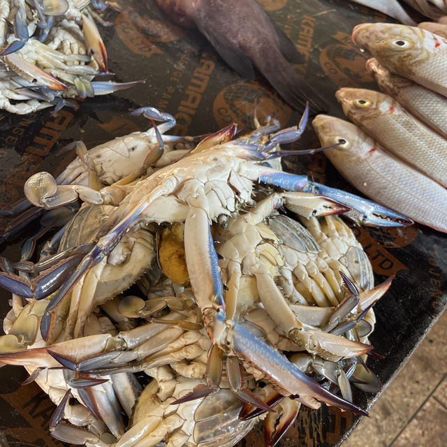 Street and the fish market of Zanzibar 