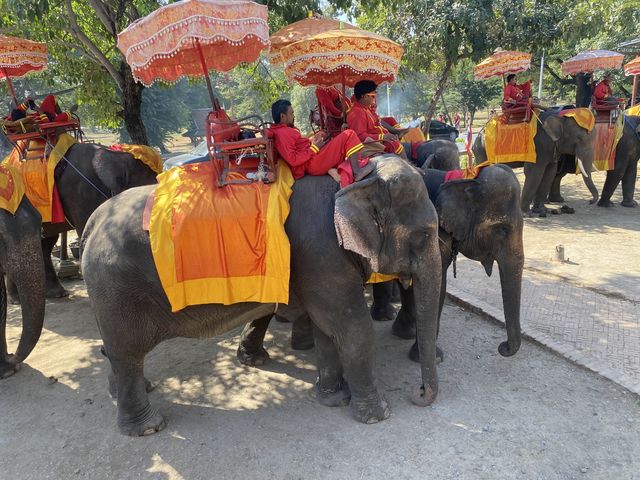 【タイ🇹🇭】壮大な歴史に触れるアユタヤ遺跡巡り✨