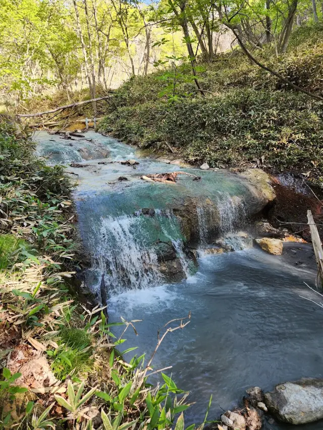 Jigokudani (Hell Valley) 