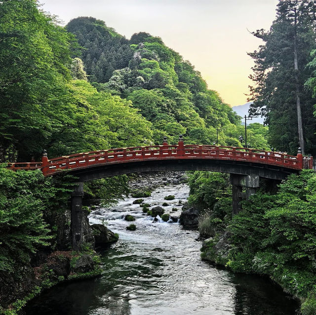 Sipping, Savoring, and Sightseeing: My Nikko Adventure