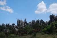 Stone Forest, The Wonder under the Heaven