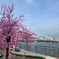 สะพานมังกรไฟ แลนด์มาร์คเมืองดานัง