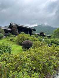 The Beautiful Scenery of Tsz Shan Monastery in Hong Kong