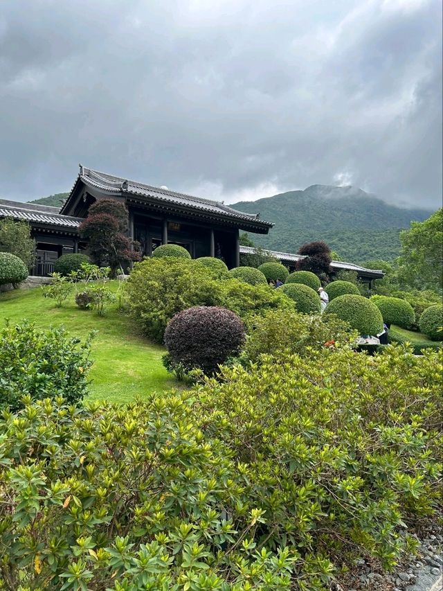 The Beautiful Scenery of Tsz Shan Monastery in Hong Kong