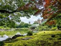 日本東京-靜謐清幽的名石山水園邸：清澄庭園