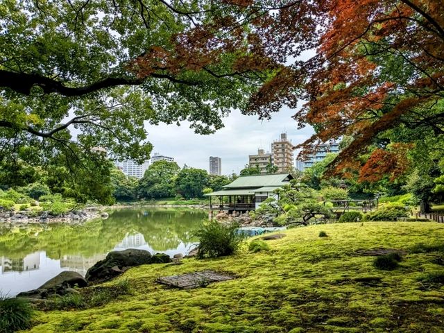 日本東京-靜謐清幽的名石山水園邸：清澄庭園