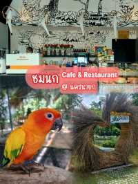 ชมนก Cafe & Restaurant @ นครนายก