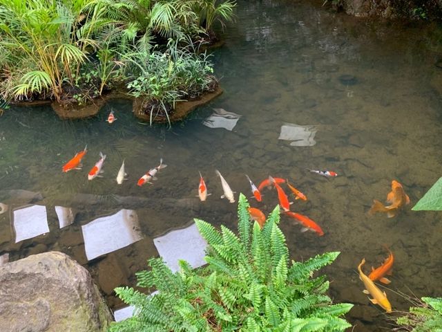 양주 호수뷰 대형 식물원 카페🌿: 오랑주리