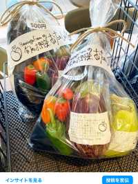 【福岡カフェ】市役所の中においしいサンドイッチ屋さんがオープン！