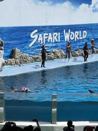 【泰國曼谷】Safari World：動物互動, 絕對好玩！