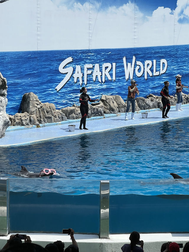 【泰國曼谷】Safari World：動物互動, 絕對好玩！
