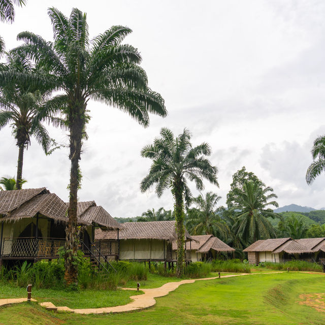 Khaosok Boutique Hideaway ที่พักสไตล์ Glamping
