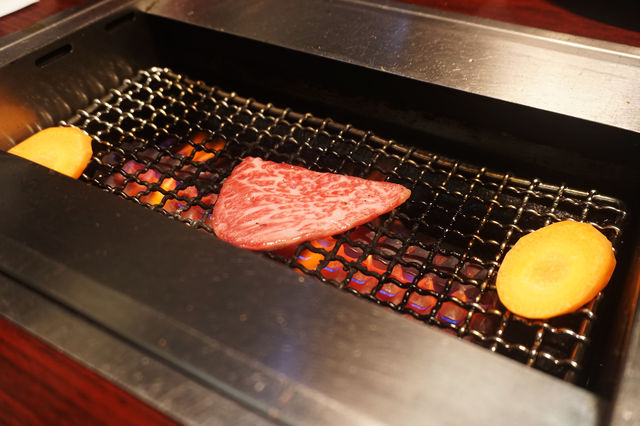 食肉獸最歡愉既時光