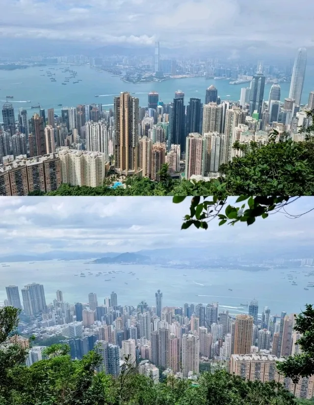 🇭🇰 Harlech Road and Lugard Road Circular Walk, The Peak