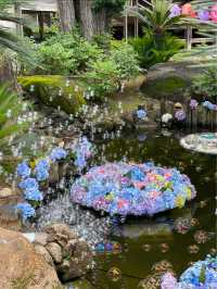 誰もが一度は見たい水中華🥰💠💐圧巻の紫陽花演出は必見！