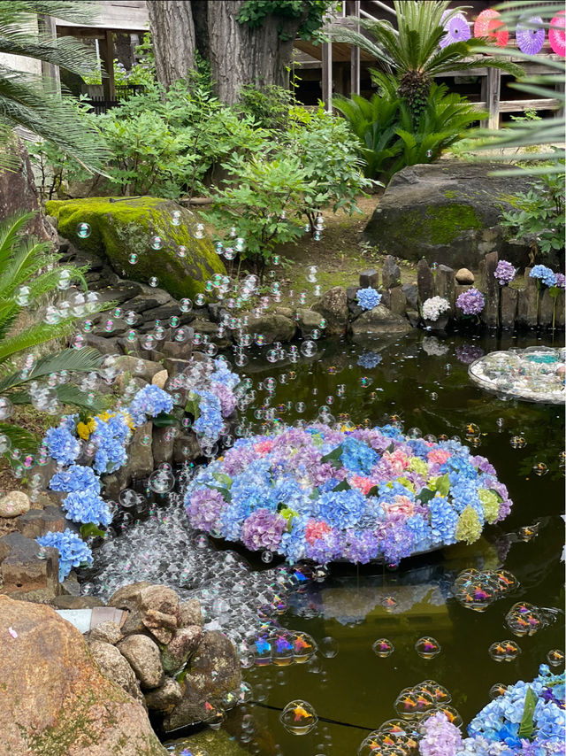 誰もが一度は見たい水中華🥰💠💐圧巻の紫陽花演出は必見！