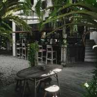 NEST COFFEE & DONUTS | AESTHETIC COFFEE SHOP IN YOGYAKARTA