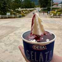 Desa Dairy Farm 'The Little New Zealand'