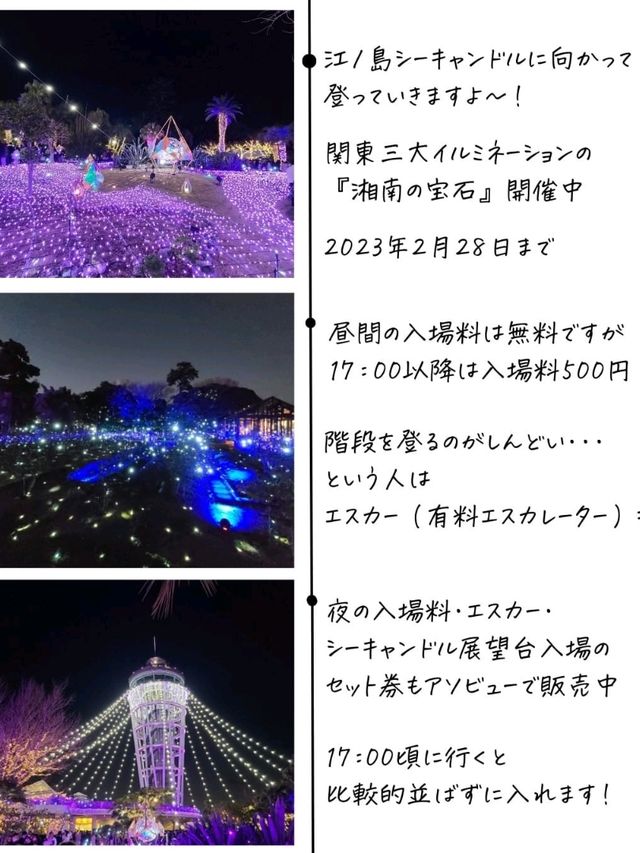 【鎌倉】おすすめ日帰り観光プラン！バス乗り放題を活用！