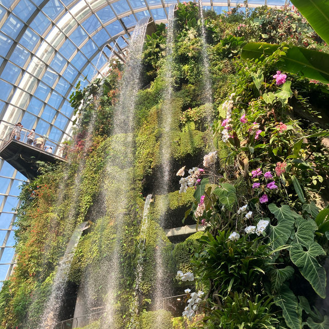 【新加坡景點】濱海灣花園雲霧森林玻璃屋：夢幻迷離的大自然美好，讓你流連忘返