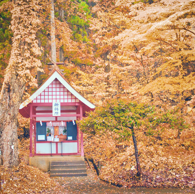 Experience the Timeless Beauty of Akita